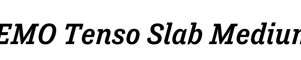 FSP DEMO Tenso Slab Medium Italic