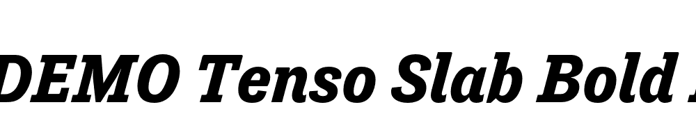 FSP DEMO Tenso Slab Bold Italic