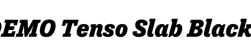 FSP DEMO Tenso Slab Black Italic