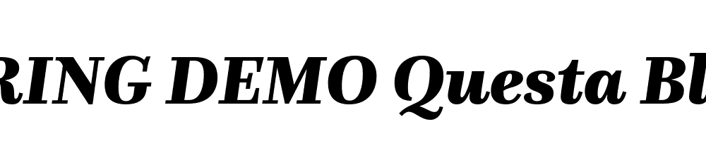  DEMO Questa Black Italic