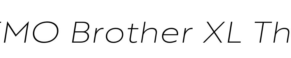 FSP DEMO Brother XL Thin Italic