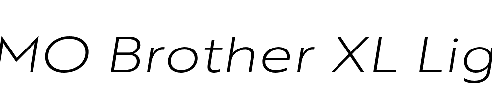 FSP DEMO Brother XL Light Italic