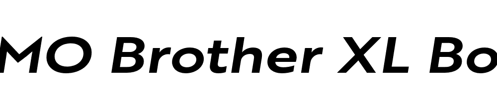 FSP DEMO Brother XL Bold Italic