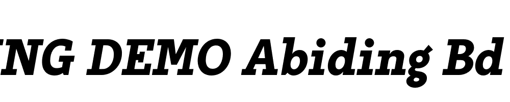  DEMO Abiding Bd Bold Italic