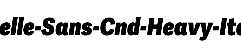 Adelle-Sans-Cnd-Heavy-Italic