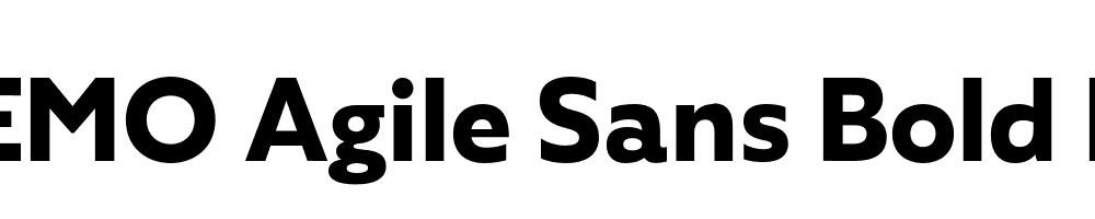 FSP DEMO Agile Sans Bold Regular