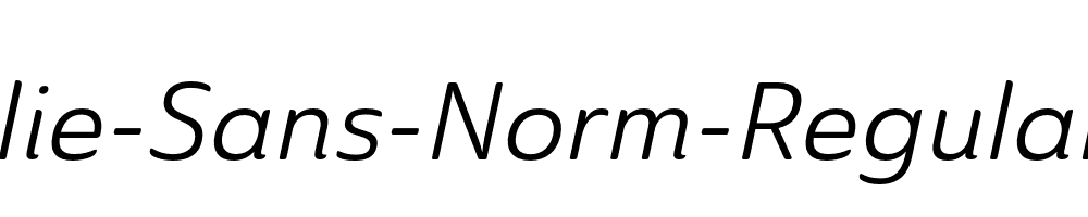 Ainslie-Sans-Norm-Regular-Ital