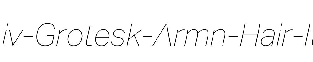 Aktiv-Grotesk-Armn-Hair-Italic