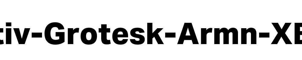 Aktiv-Grotesk-Armn-XBold