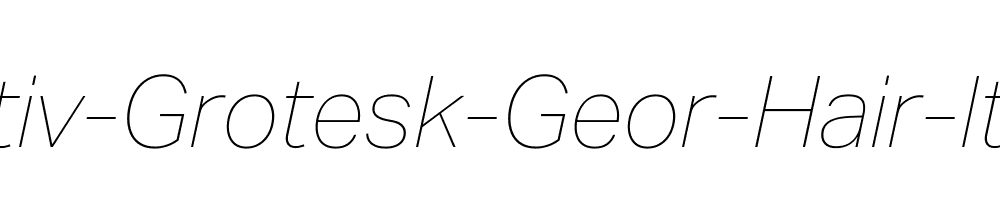 Aktiv-Grotesk-Geor-Hair-Italic