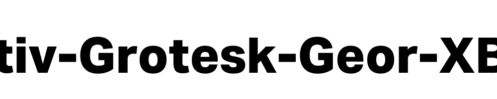 Aktiv-Grotesk-Geor-XBold