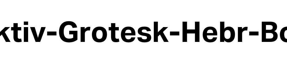 Aktiv-Grotesk-Hebr-Bold