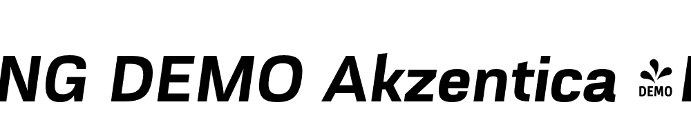  DEMO Akzentica 4F Bold Italic