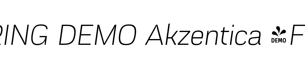  DEMO Akzentica 4F Light Italic