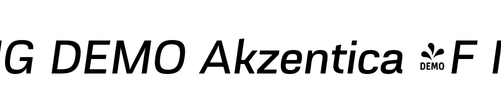  DEMO Akzentica 4F Medium Italic