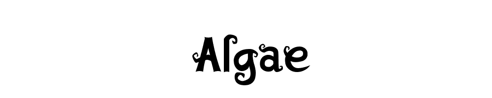 Algae