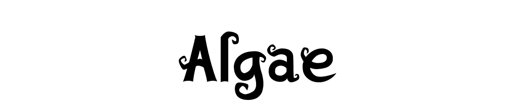 Algae