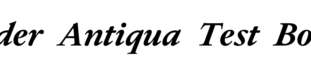 Allrounder-Antiqua-Test-Bold-Italic