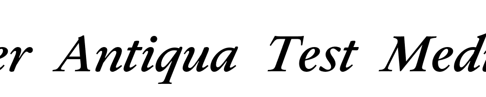 Allrounder-Antiqua-Test-Medium-Italic