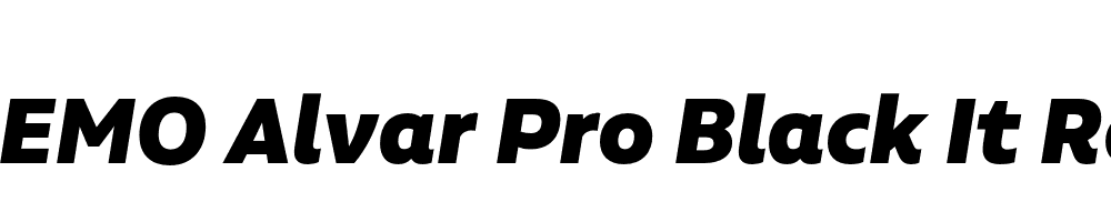 FSP DEMO Alvar Pro Black It Regular