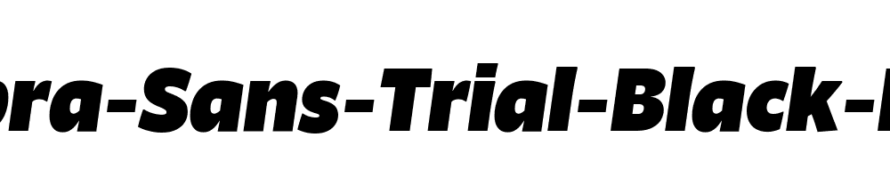 Ambra-Sans-Trial-Black-Italic