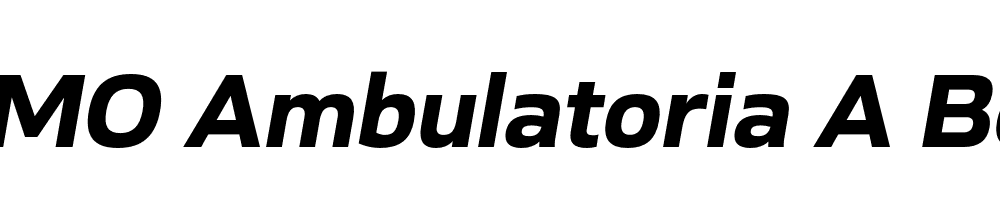 FSP DEMO Ambulatoria A Bold Italic