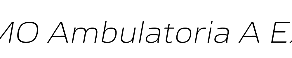 FSP DEMO Ambulatoria A ExtLt Italic