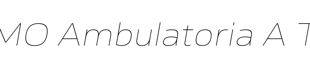 FSP DEMO Ambulatoria A Thin Italic