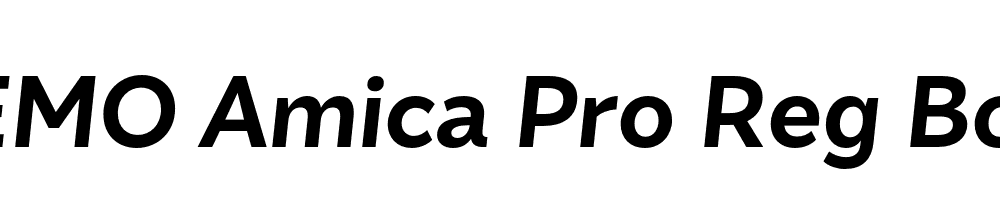 FSP DEMO Amica Pro Reg Bold Italic