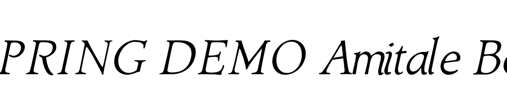  DEMO Amitale Book Italic