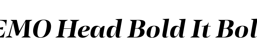 FSP DEMO Head Bold It Bold Italic