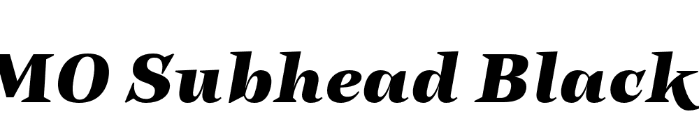 FSP DEMO Subhead Black It Italic