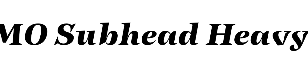 FSP DEMO Subhead Heavy It Italic