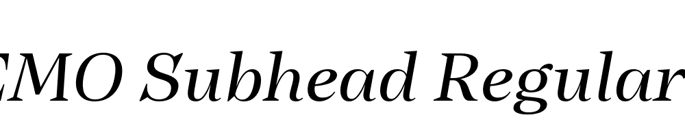 FSP DEMO Subhead Regular It Italic