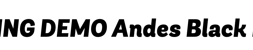  DEMO Andes Black Black Italic