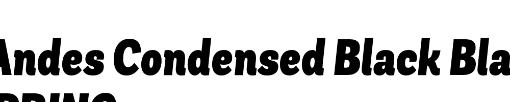  DEMO Andes Condensed Black Black Italic