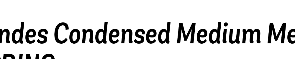  DEMO Andes Condensed Medium Medium Italic