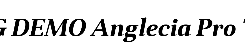  DEMO Anglecia Pro Txt Bold Italic