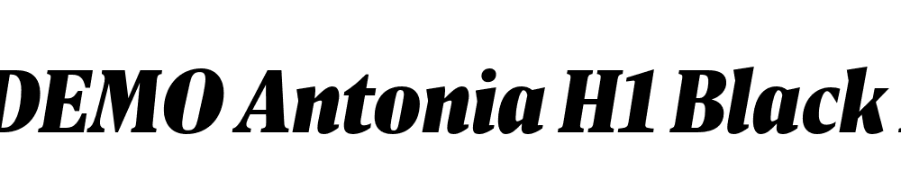 FSP DEMO Antonia H1 Black Italic