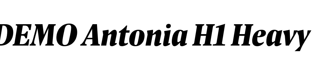 FSP DEMO Antonia H1 Heavy Italic