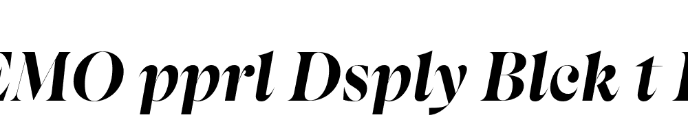 FSP DEMO pprl Dsply Blck t Regular