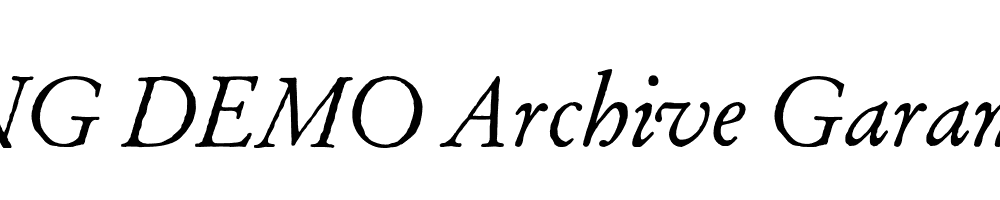  DEMO Archive Garamond Pro Italic