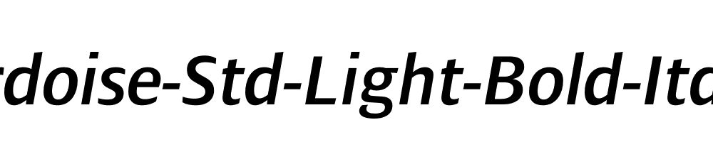 Ardoise-Std-Light-Bold-Italic