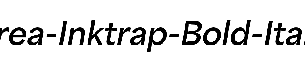 Area-Inktrap-Bold-Italic