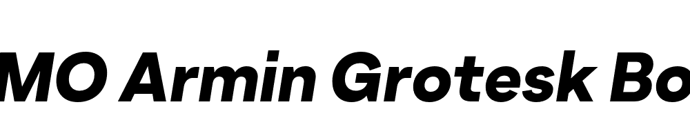 FSP DEMO Armin Grotesk Bold Italic