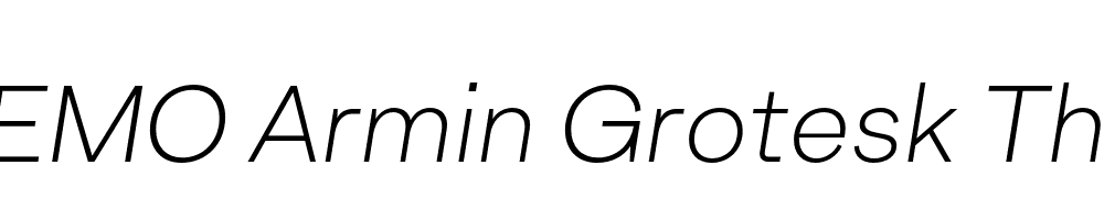 FSP DEMO Armin Grotesk Thin Italic