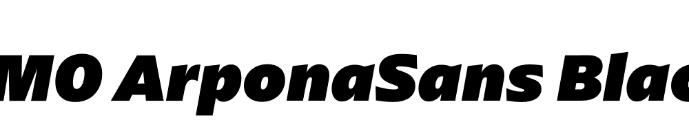 FSP DEMO ArponaSans Black Italic