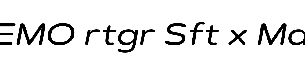 FSP DEMO rtgr Sft x Mdm Italic