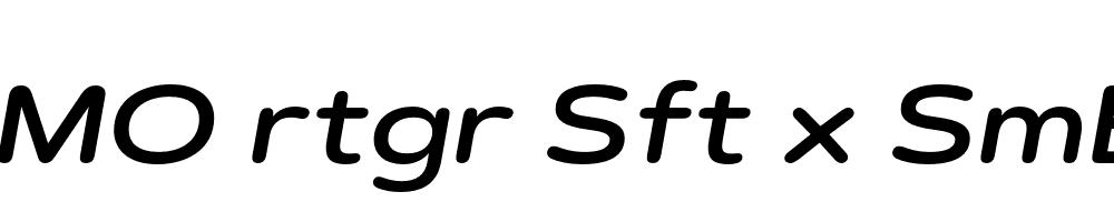 FSP DEMO rtgr Sft x SmBld Italic