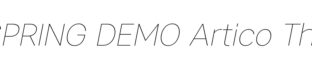  DEMO Artico Thin Italic